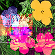 anonymous-warhol_flowers@May_22_17.47.19_2010