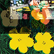 anonymous-warhol_flowers@May_22_12.15.01_2010