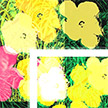 anonymous-warhol_flowers@May_22_12.19.21_2010
