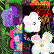 anonymous-warhol_flowers@May_22_12.24.32_2010