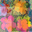 anonymous-warhol_flowers@May_22_13.58.27_2010