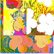 anonymous-warhol_flowers@May_22_13.58.38_2010