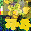 anonymous-warhol_flowers@May_22_13.59.49_2010