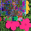 anonymous-warhol_flowers@May_22_14.02.49_2010