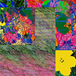 anonymous-warhol_flowers@May_22_15.26.42_2010