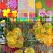 anonymous-warhol_flowers@May_22_15.27.00_2010
