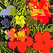 anonymous-warhol_flowers@May_22_15.27.49_2010