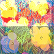 anonymous-warhol_flowers@May_22_15.54.47_2010