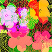 anonymous-warhol_flowers@May_22_15.56.24_2010