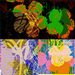 anonymous-warhol_flowers@May_22_16.09.04_2010